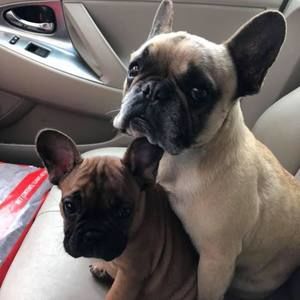 Meet your Posher, Bobbi